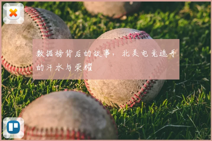 数据榜背后的故事,北美电竞选手的汗水与荣耀