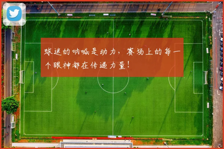 球迷的呐喊是动力,赛场上的每一个眼神都在传递力量!