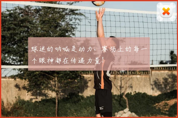 球迷的呐喊是动力，赛场上的每一个眼神都在传递力量！